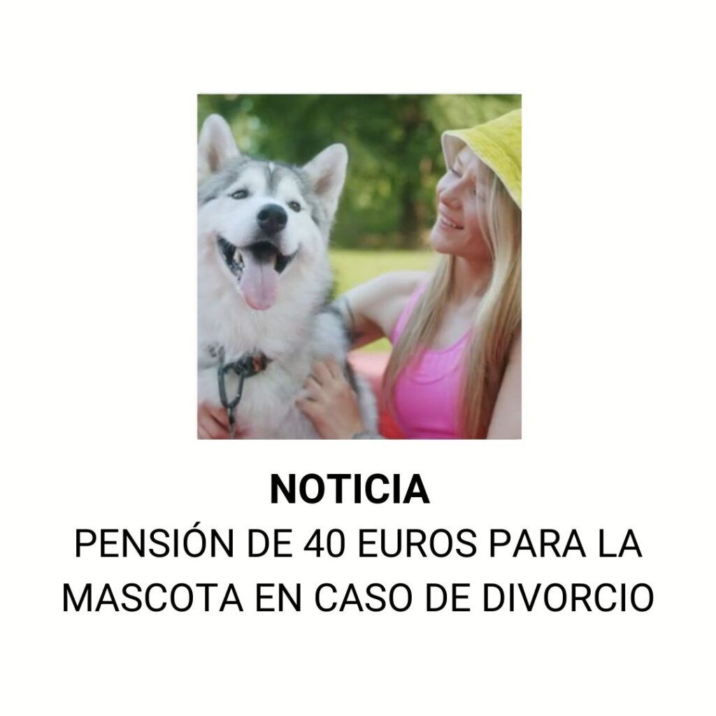 Custodia compartida de mascota, divorcio con perro, pensión para perros