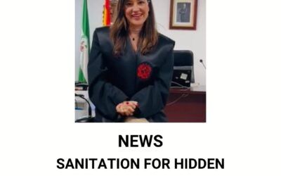Sanitation for Hidden Vices