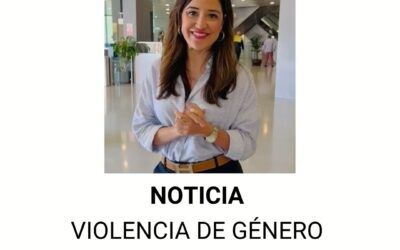 violencia doméstica y la violencia de género violencia doméstica y la violencia de género
