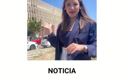 impago de pensión de alimentos impago de pensión de alimentos